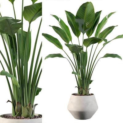 现代绿植盆栽摆件-01